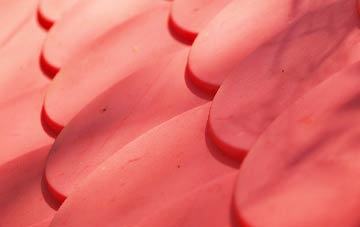 Lobb plastic roof costs